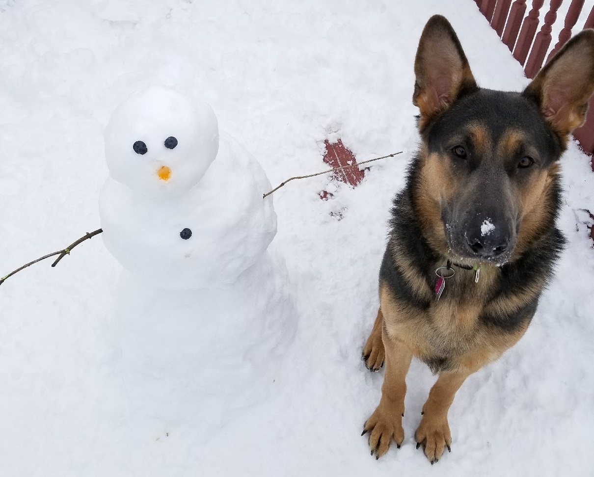 Sachsen and his Snowfriend